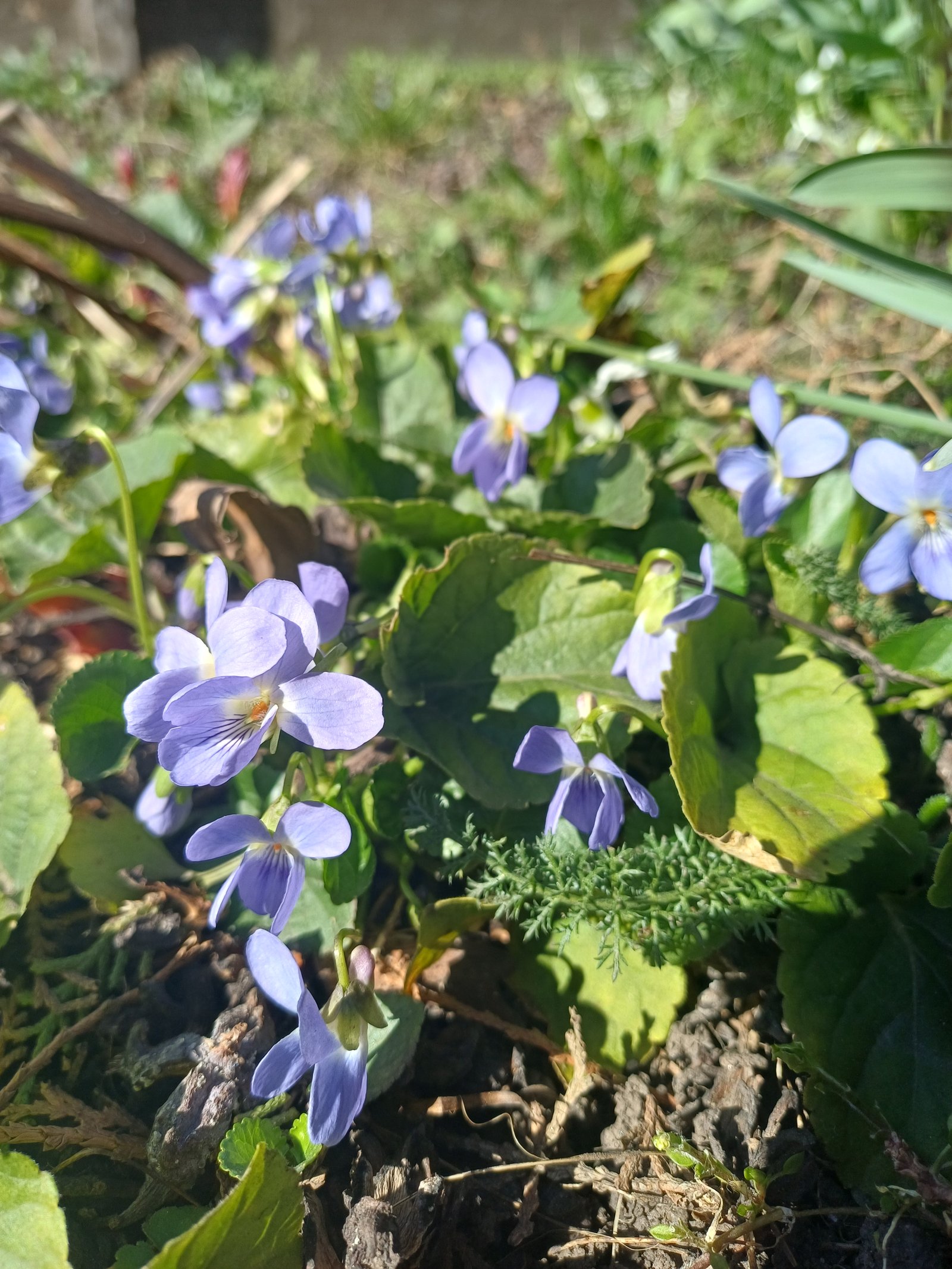 Kohári Mónika portfolio