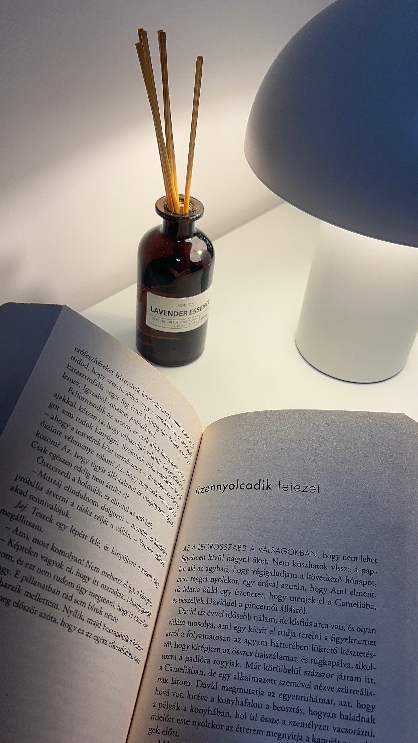 Kerekes Kitti portfolio