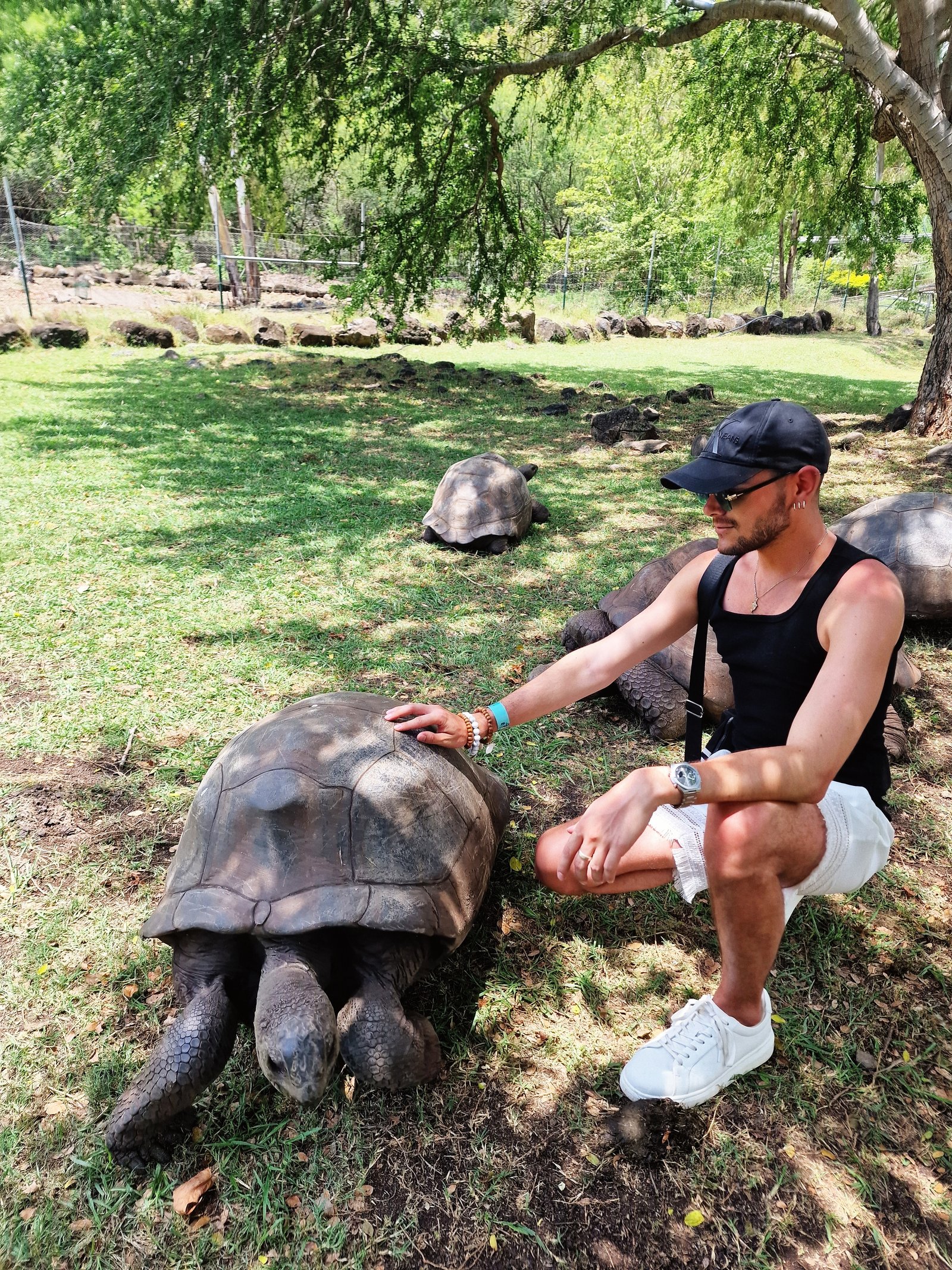 Lótos Bence portfolio