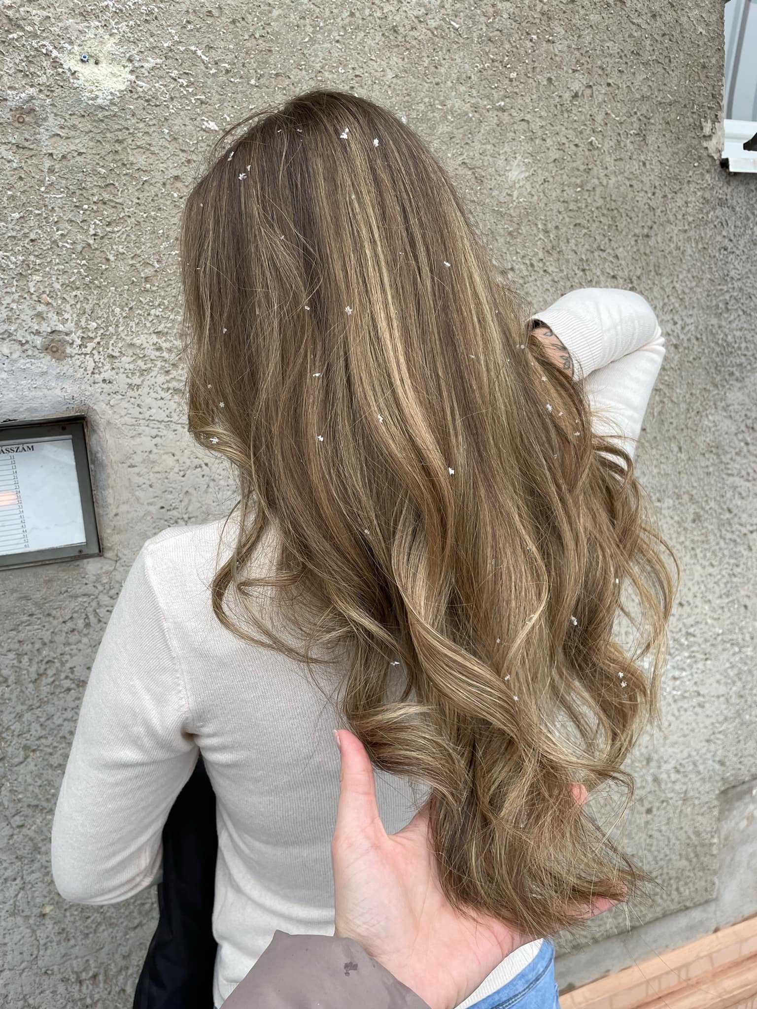 Szabó-Németh Barbara portfolio