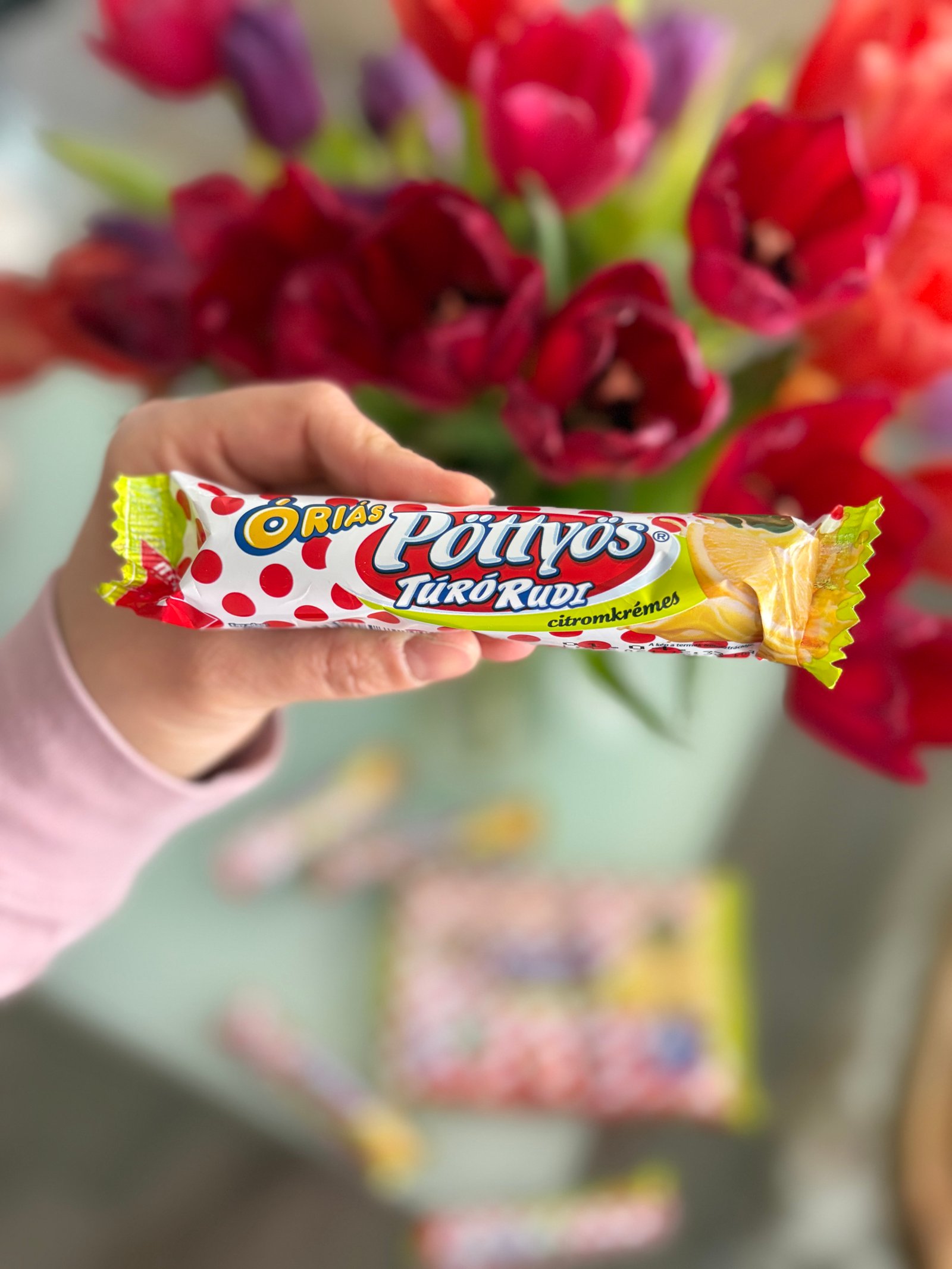 Györfiné Jóni Alexandra portfolio