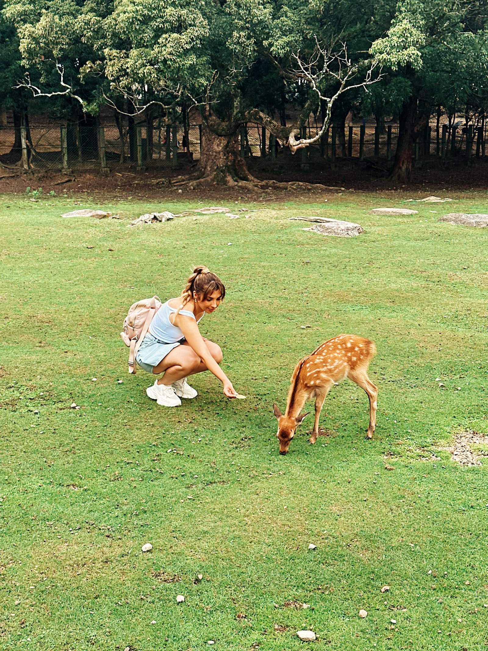 Tajti-Erdély Kitty portfolio