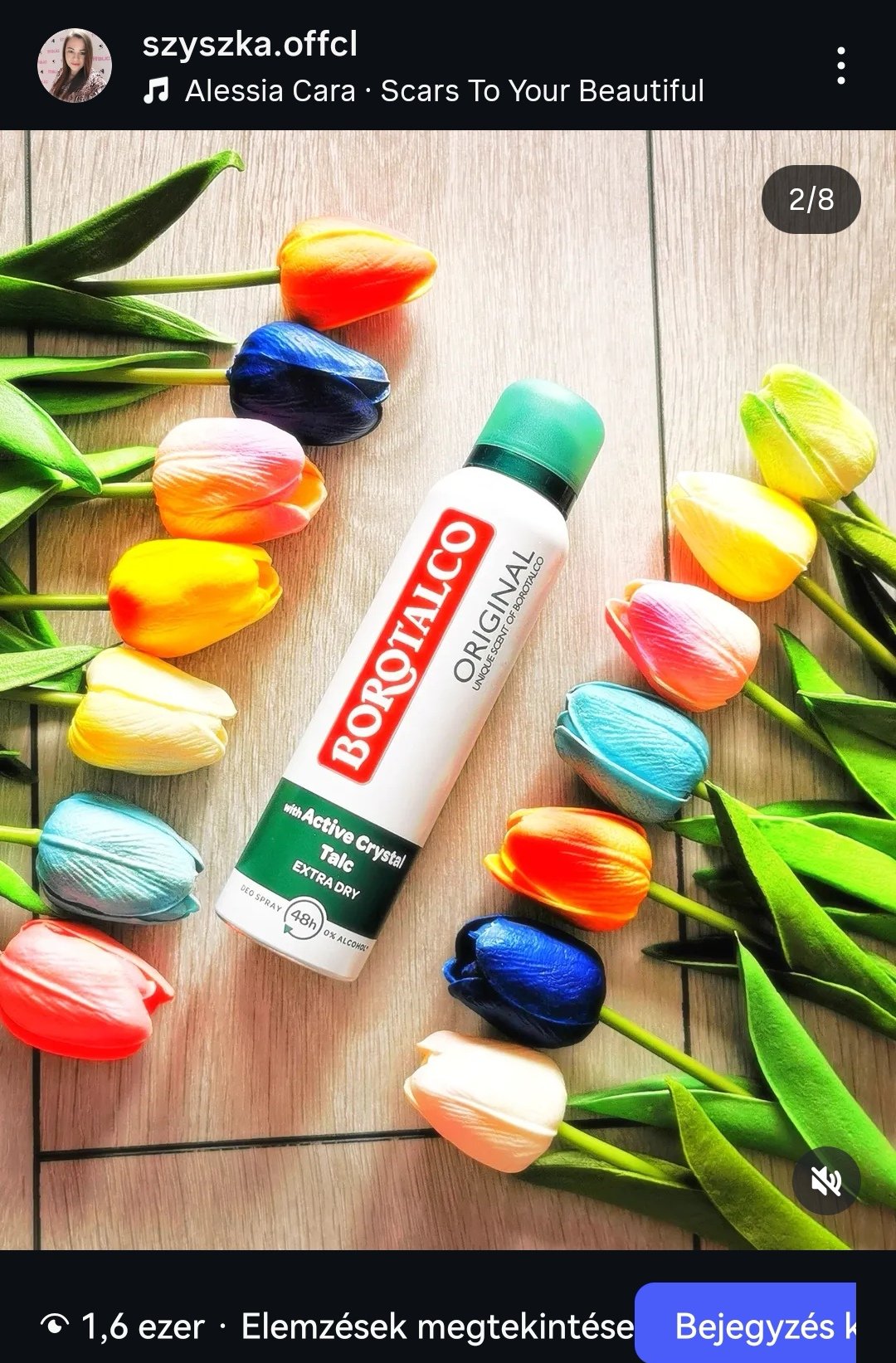 Vízer Szilvia portfolio