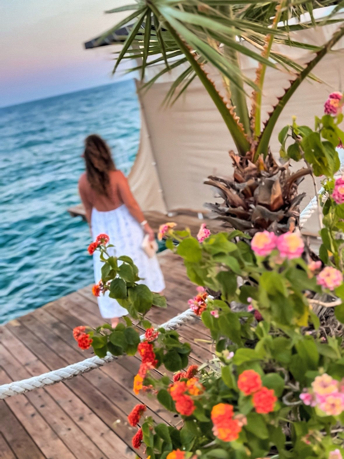 Kada-Szőke Nikolett portfolio