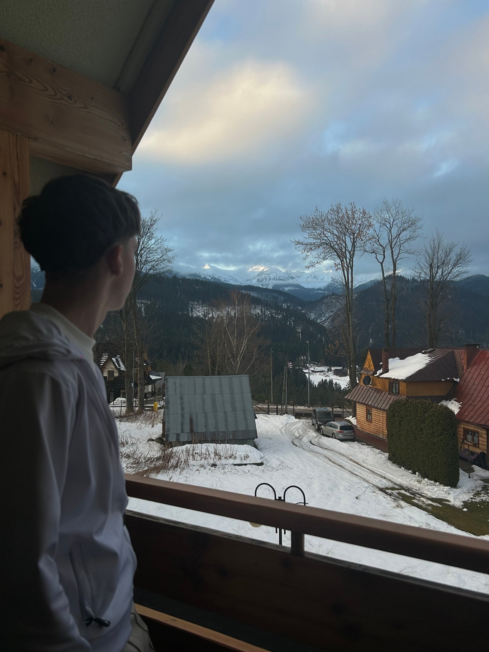 Szokolics Trisztan portfolio