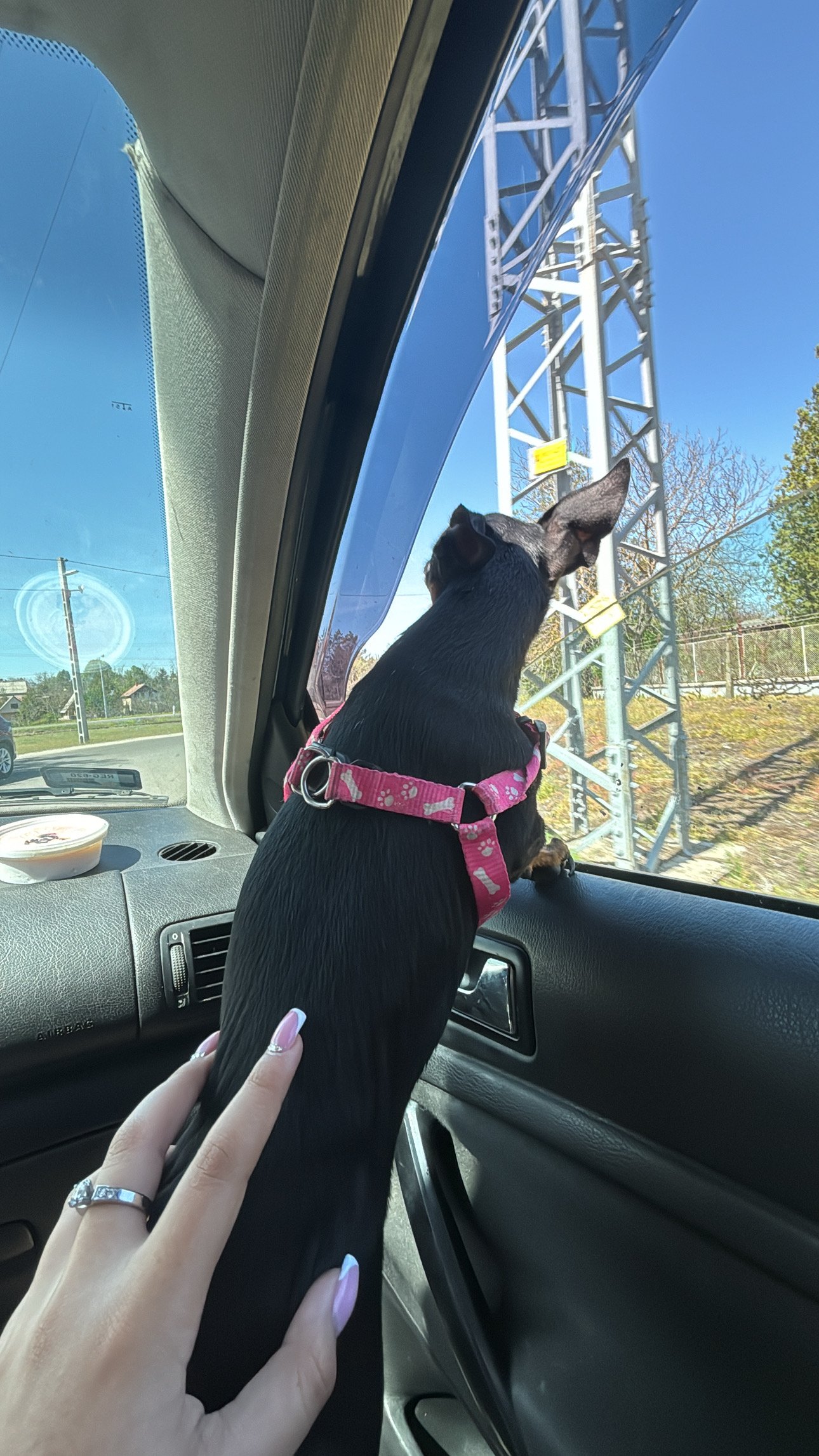 Gecse Amanda portfolio