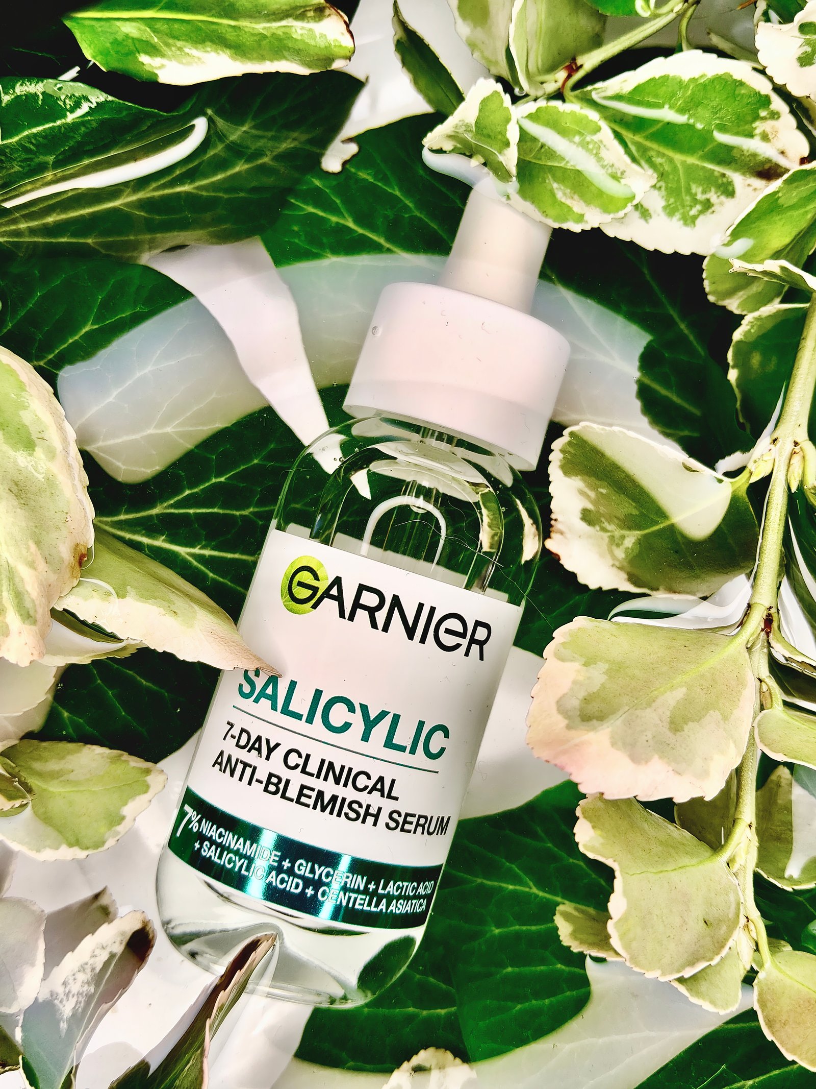 Gali-Bayerle Laura portfolio