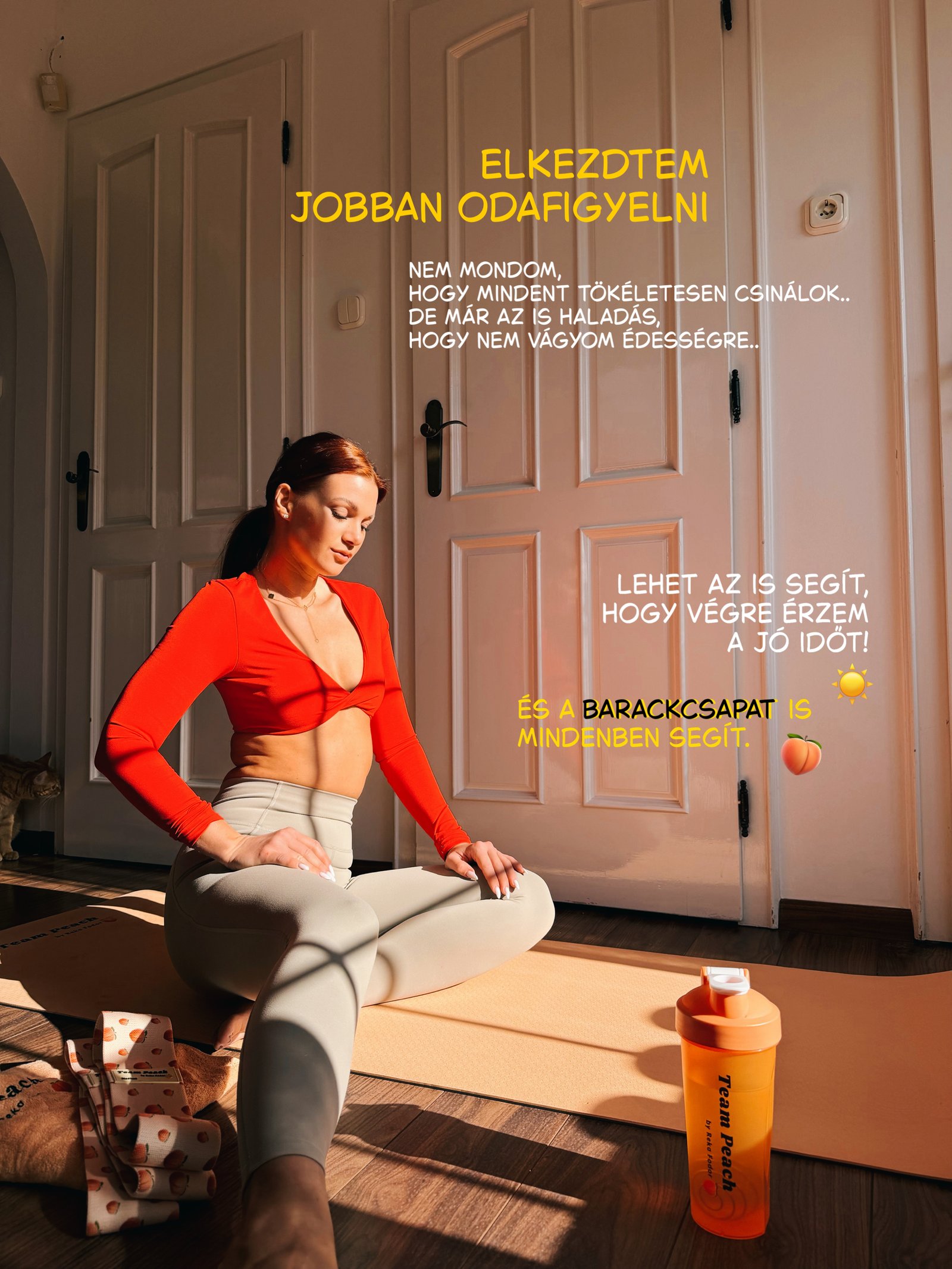 Göbölyös Ágnes portfolio