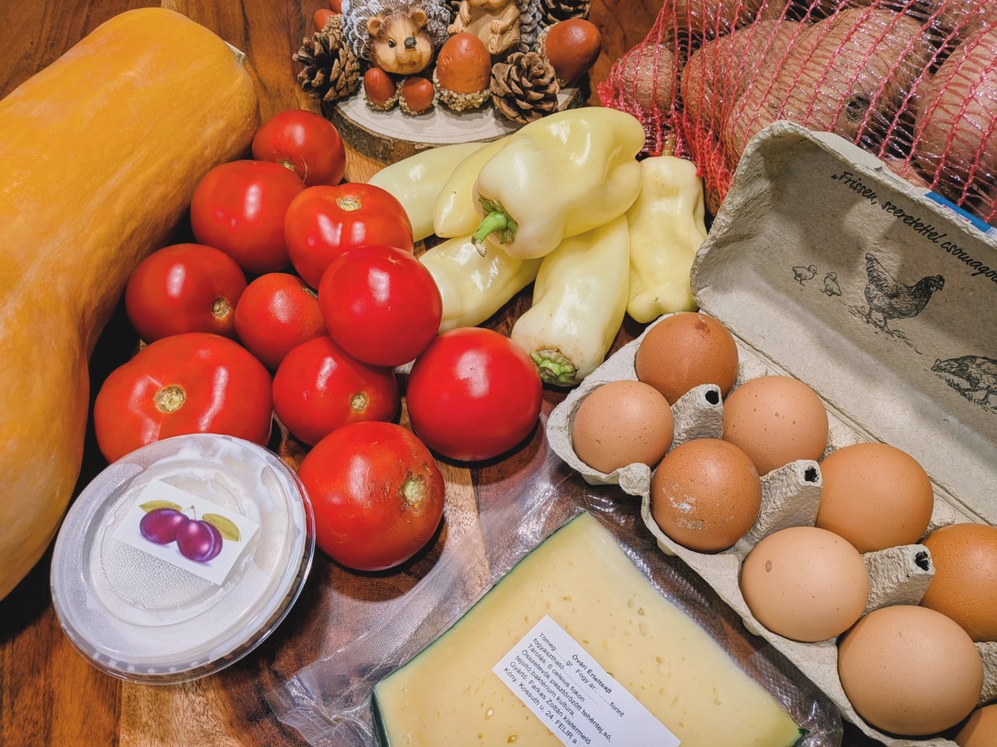 Kamocsai-Szücs Tímea portfolio