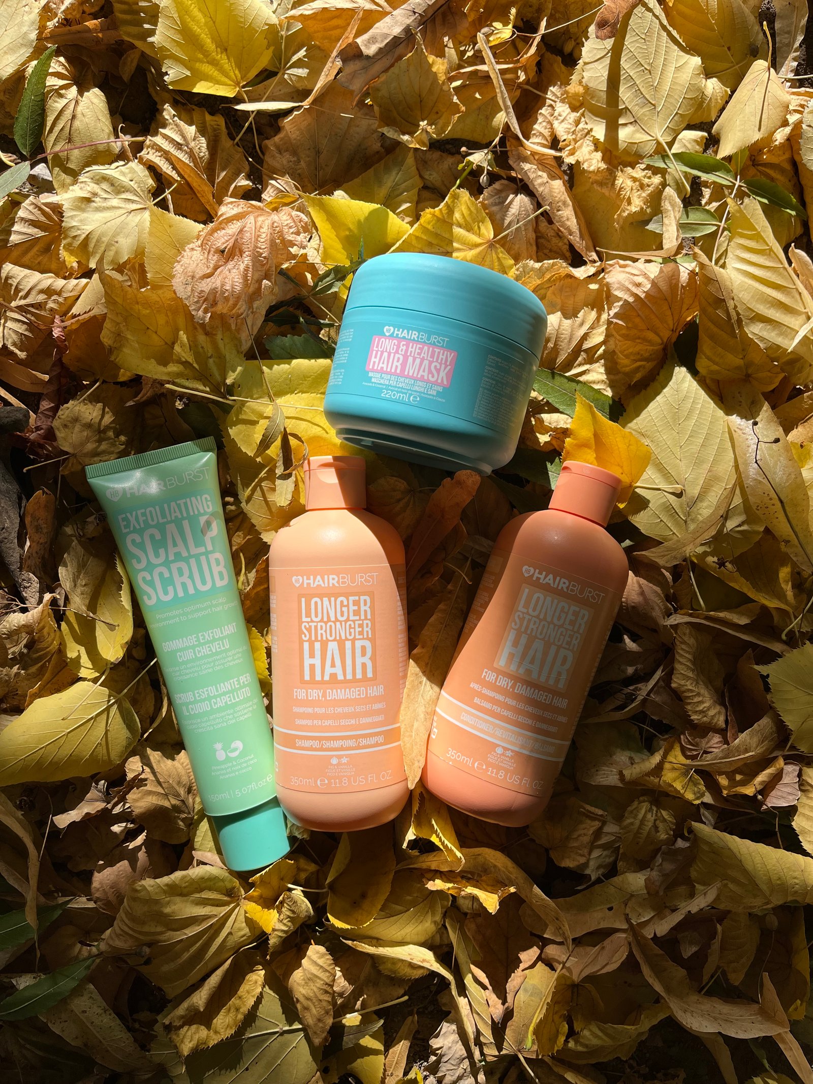 Újlaki Boglárka portfolio