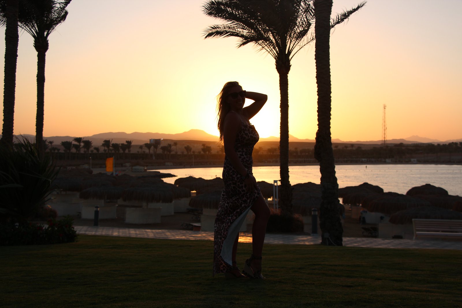 Taksonyi Dalma Petra portfolio