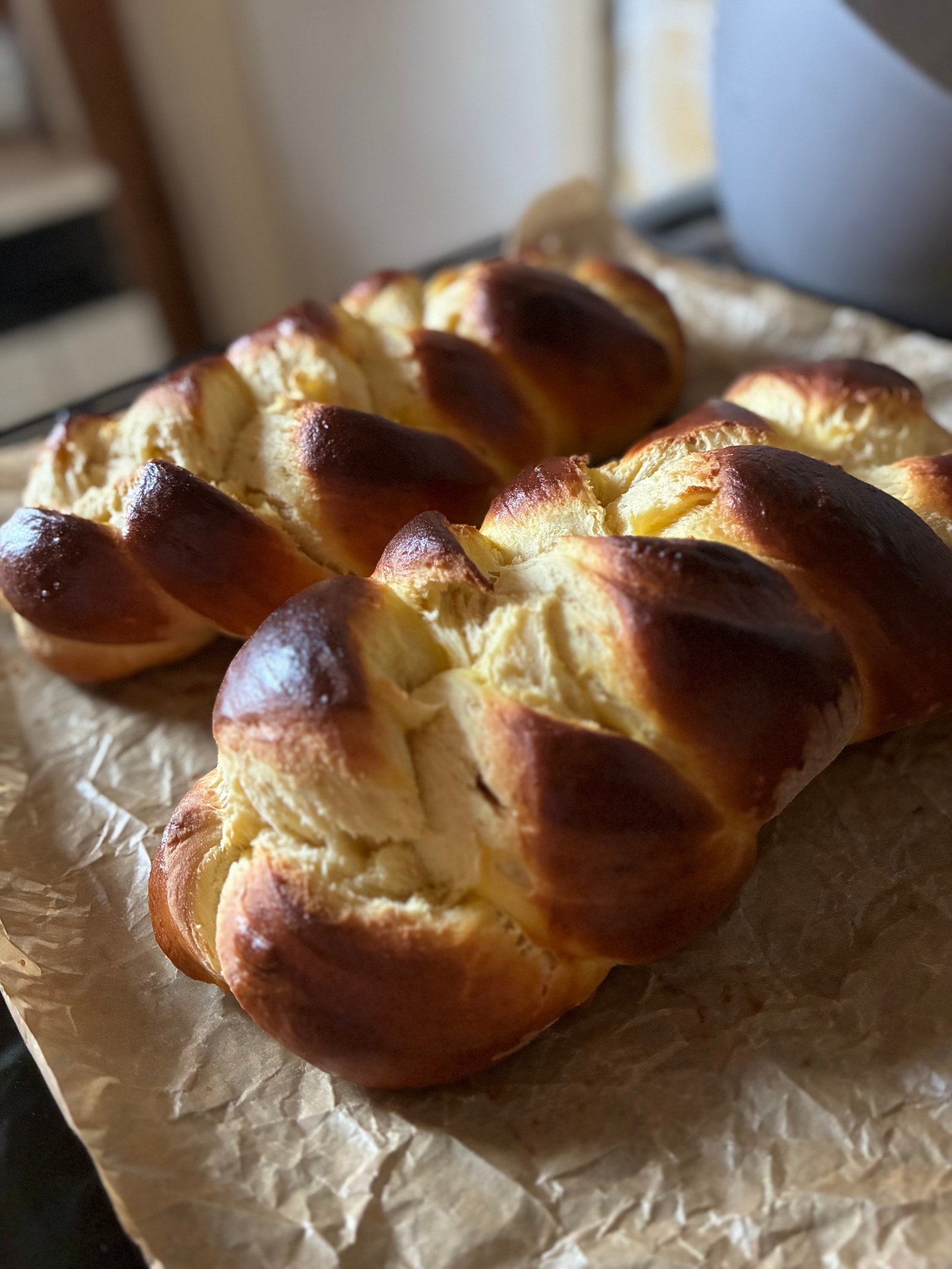 Majlinger Kitti portfolio