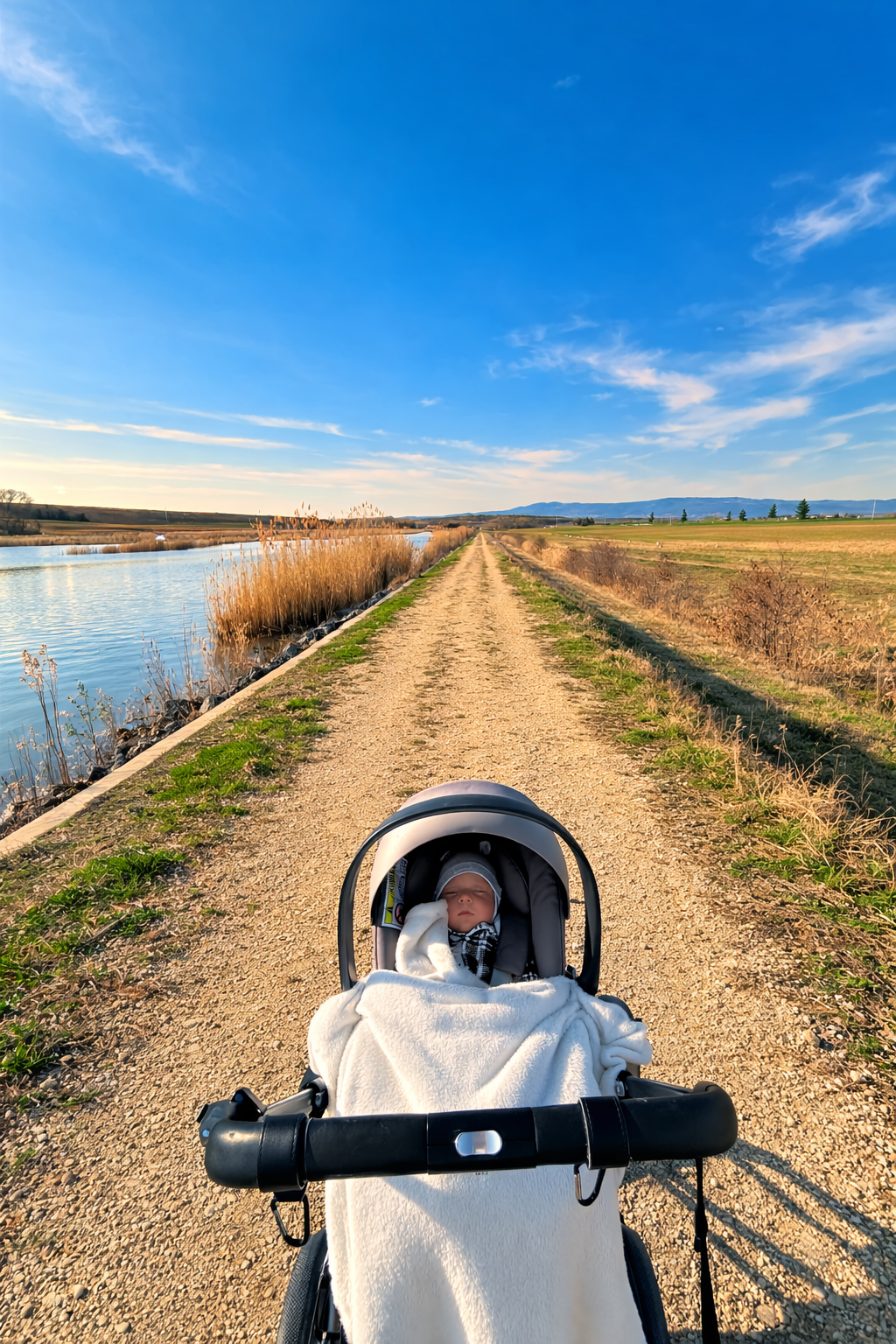 Balázsiné Sulyok Kinga portfolio