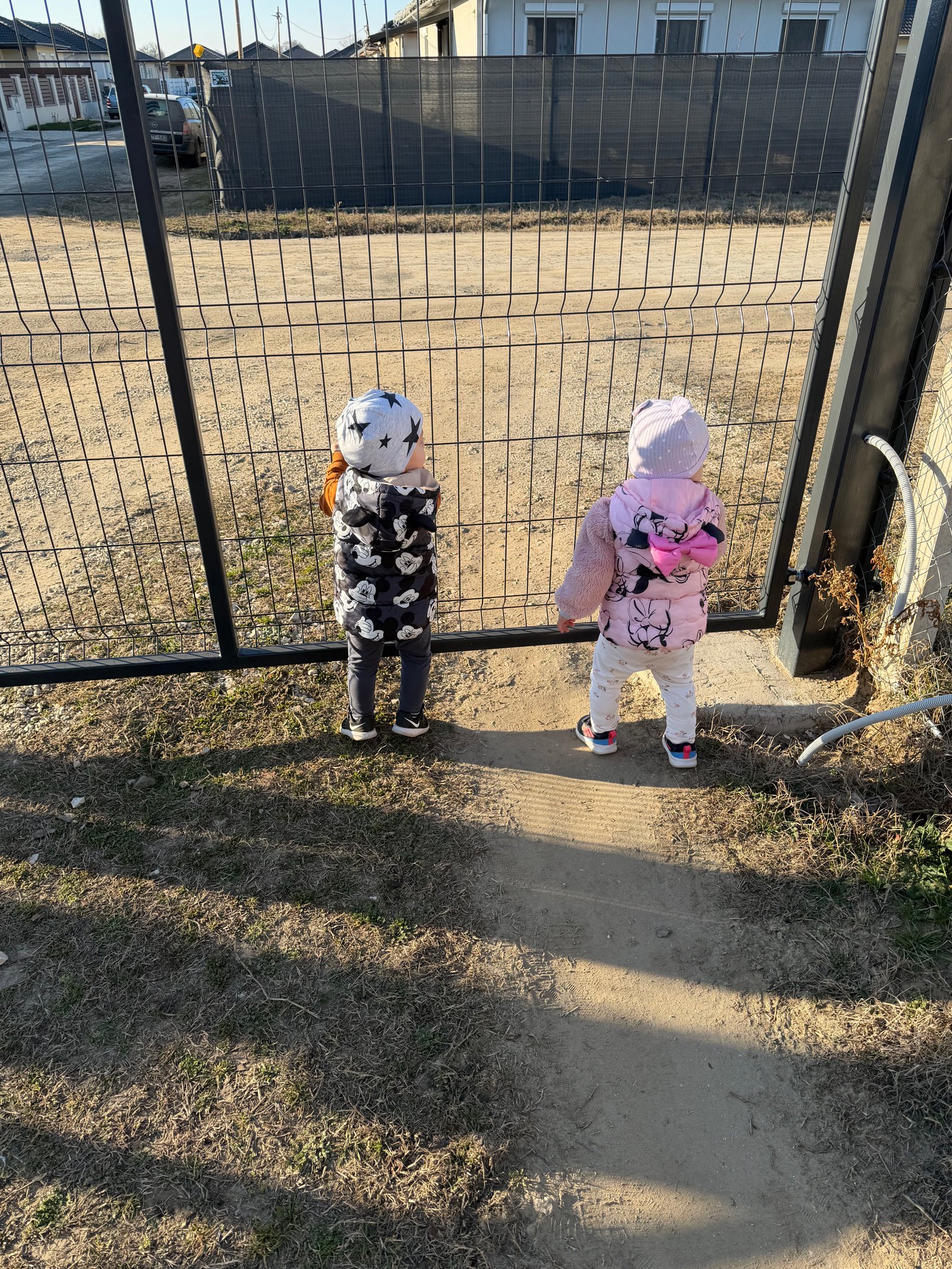 Zellei-Lajos Éva portfolio