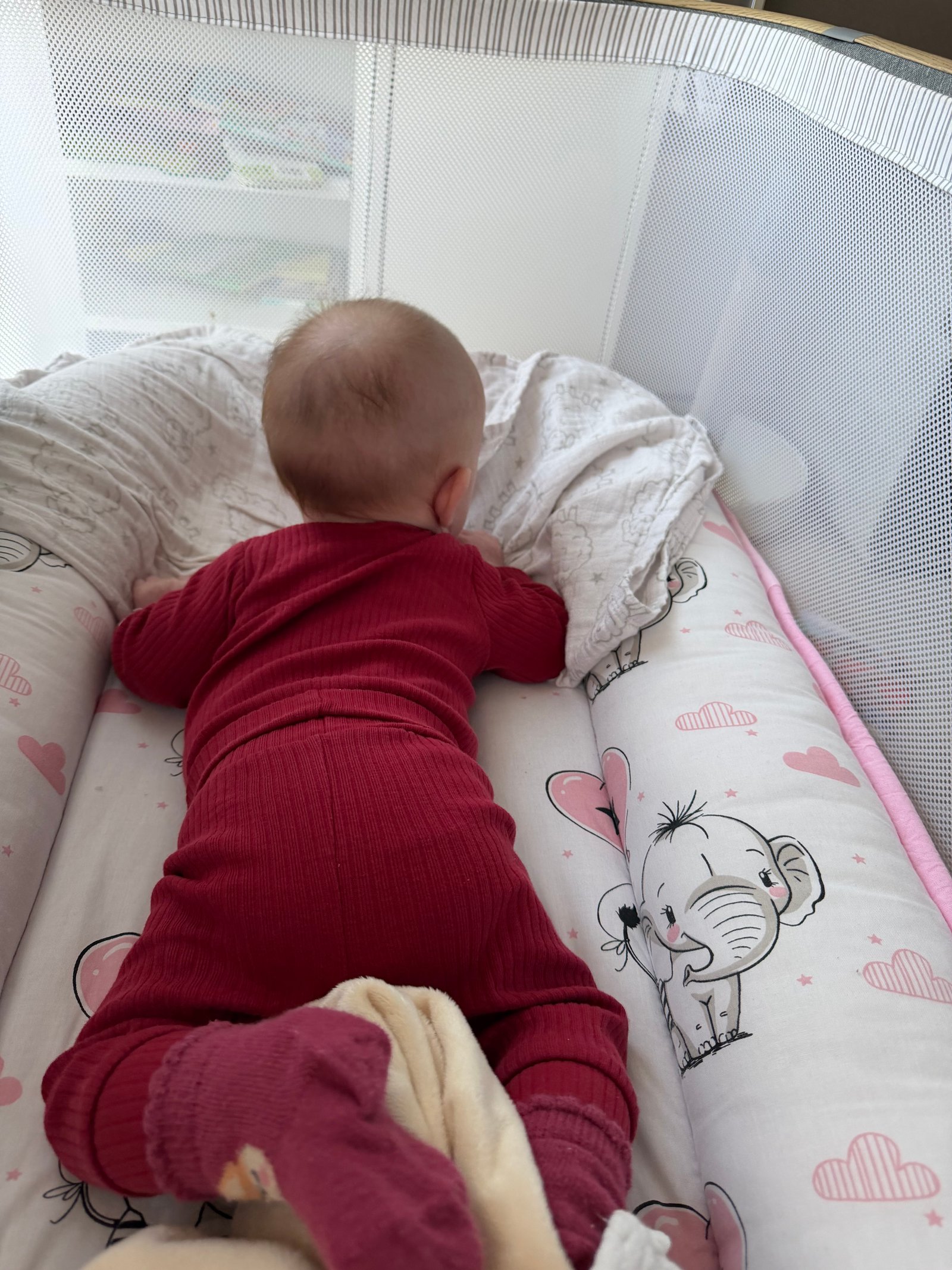 Zellei-Lajos Éva portfolio