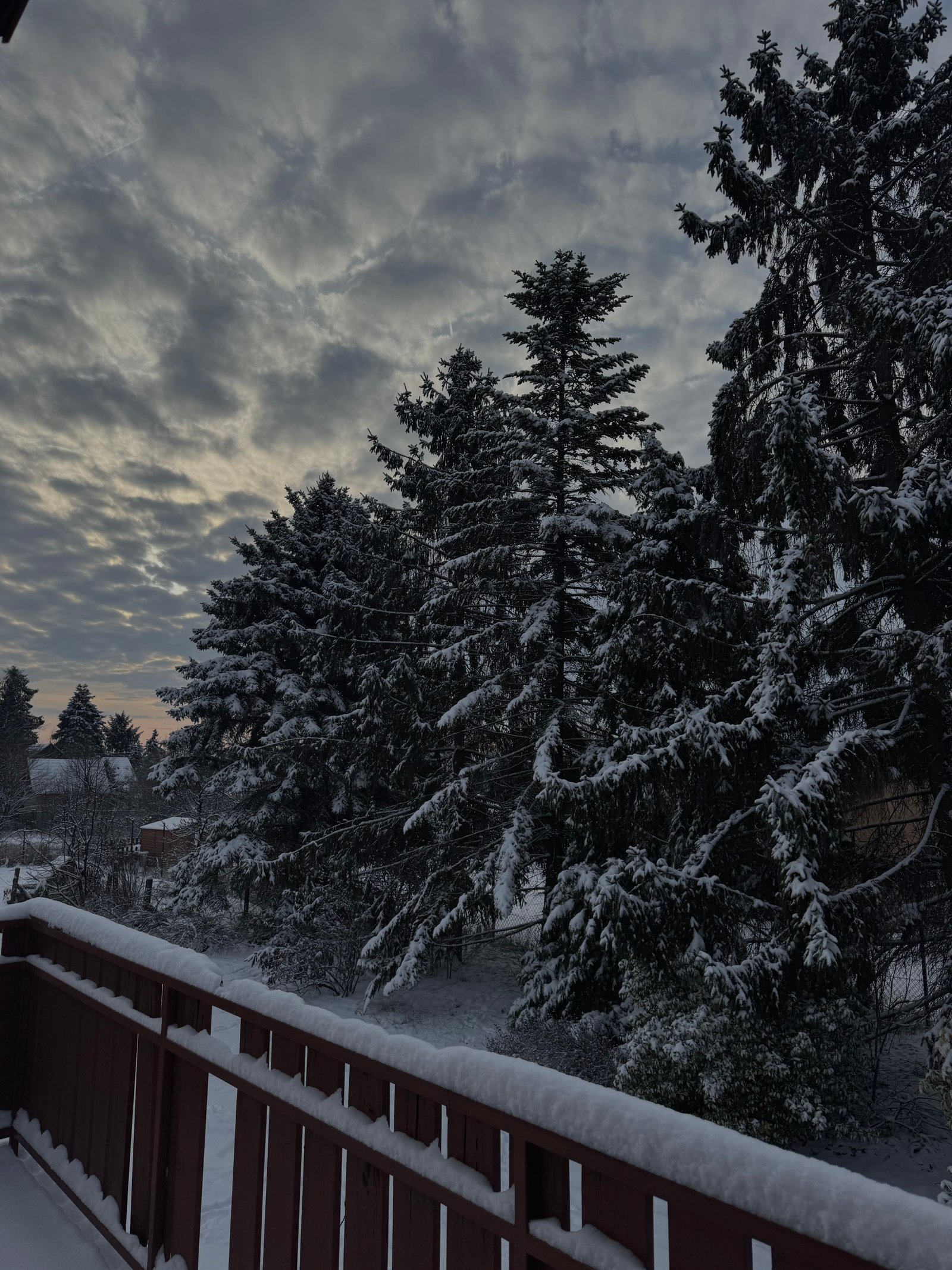 Antal Petra portfolio